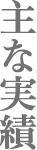 主な実績